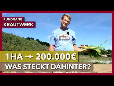 200.000€ Umsatz aus 1ha Marktgärtnerei | Krautwerk | Rundgang 3