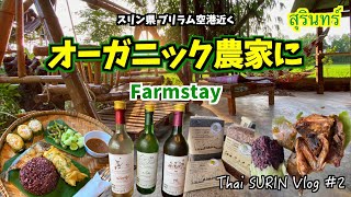 【タイVlog】朝からタンブン＆市場散策をしてタイの米どころスリン県にある「オーガニックファーム」に泊まってみた_スリン県3泊4日の旅 Part#2