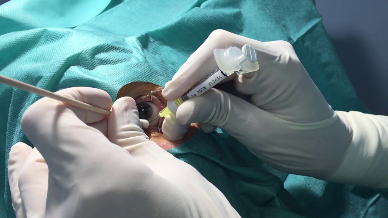 Adrián Hernández Martínez-13