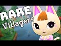 How Rare Is Your Dreamie Animal Crossing New Horizons