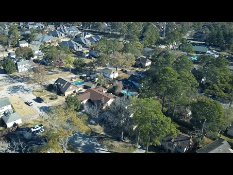 Hcso Arrests