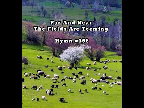 Far and near the fields are teeming | Hymn 358 | Maxwell