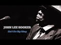 JOHN LEE HOOKER ☆ Ain't No Big Thing
