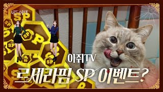 새로운 캐릭 르세라핌 업뎃 소식!