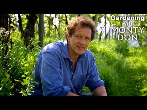 The Most Romantic Gardens Ever? | Monty Don's Italian Gardens | FULL EPISODE | S1 E3
