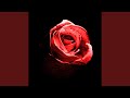 Romantic Homicide Live