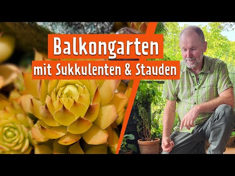 Raritäten aus aller Welt: Ein Balkon mit Stauden und Sukkulenten | MDR Garten