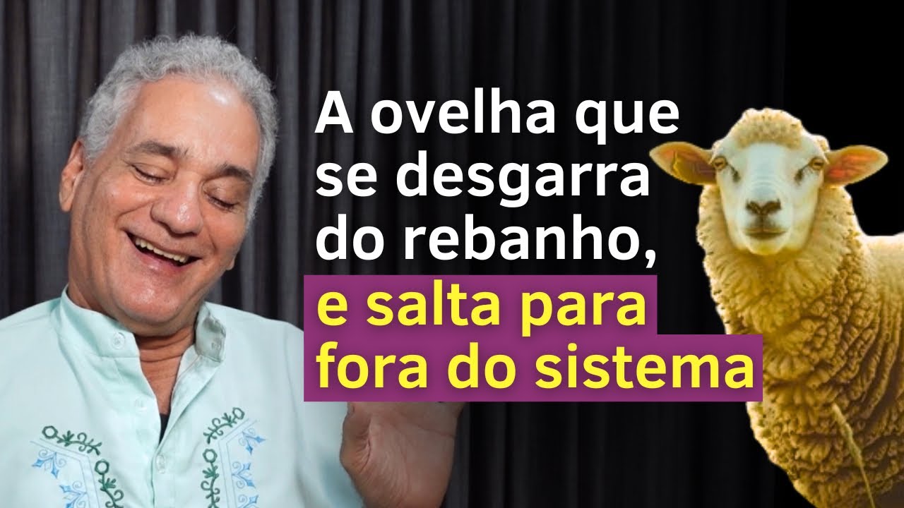 Você pode se ILUMINAR em qualquer contexto, até dentro do sistema | Satsang com Alexandre Magno