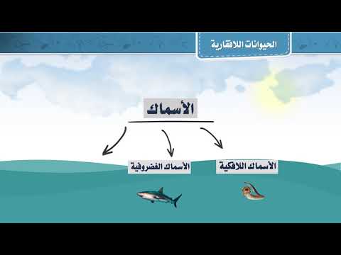 فيديو تعليمي