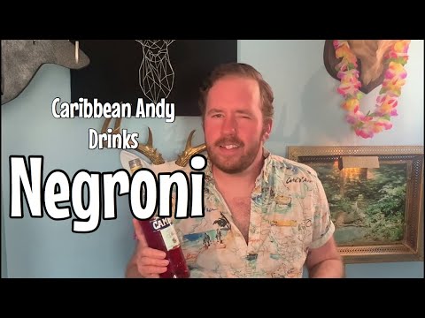 Classic Negroni Recipe | Gin Cocktails