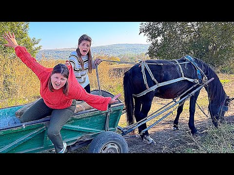 A CĂZUT din Căruță fata din ITALIA😱/ Calul nu poate fi OPRIT 🚫