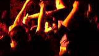 TERROR last of the diehards