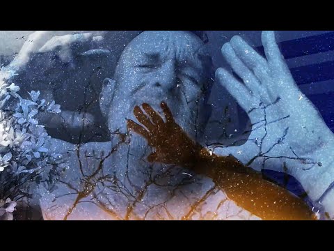 I Am What I Am - Lady Blackbird