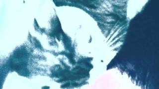 atlas sound - &#39;it drones&#39;