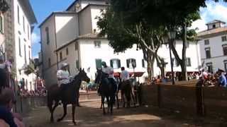 preview picture of video 'Palio di castel del piano Corsa dei Cavalli - Batteria 1'