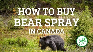 Where to Buy Bear Spray in Canada and How to Buy It | Outdoor Safety Tips by PerfectDayToPlay TV