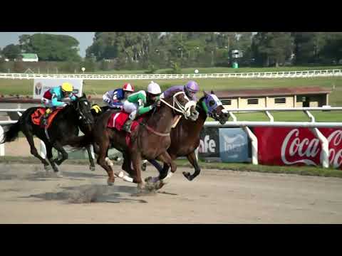 210416 c06 - EMPEROR HULK (BRZ) - HIPODROMO LAS PIEDRAS