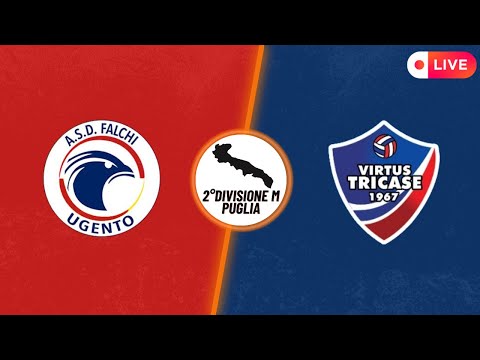 Pallavolo Seconda Divisione Maschile | Falchi Ugento -  VIRTUS Tricase 1967 | Puglia