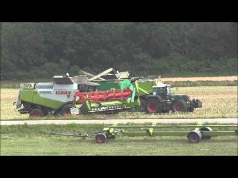 Claas Lexion 35 feet x 4 on Skabernäs