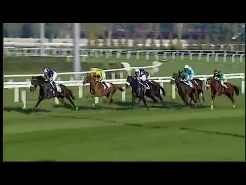 2017.10.15 Premio Dormello (ITA) - Sweet Gentle Kiss