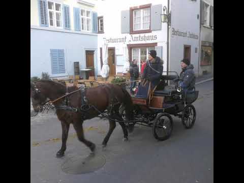 Fuhrmanns Znüni 1.1.20 Liestal - Die Fuhrhalterei