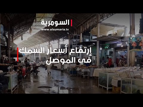 شاهد بالفيديو.. السمك في الموصل   إرتفاع جنوني بالأسعار والمواطن غاضب!