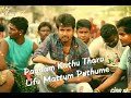 Maan Karate Status