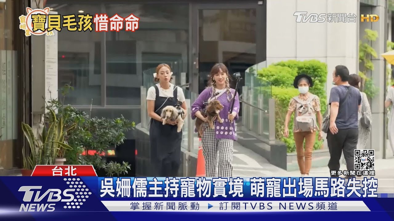 《萌寵明星粗乃玩》吳姍儒、鬼鬼帶臘腸狗 享受頂級寵物沙龍