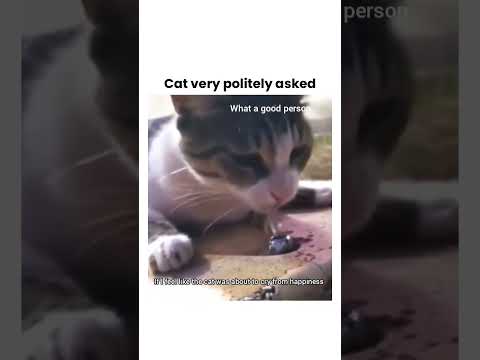 So sweet, that's nice of him to help that poor Kitty #cat #catlovers #catvideos