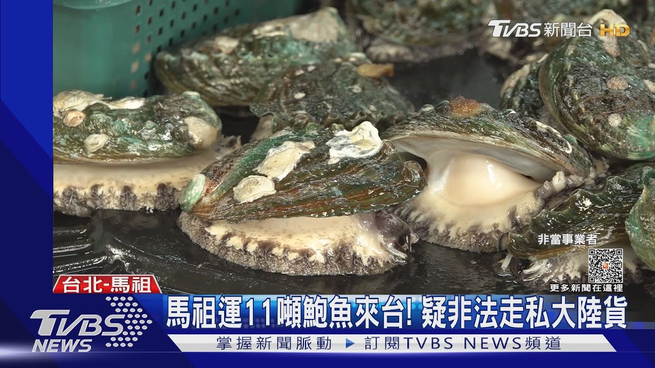 馬祖運11噸鮑魚來台! 疑非法走私大陸貨