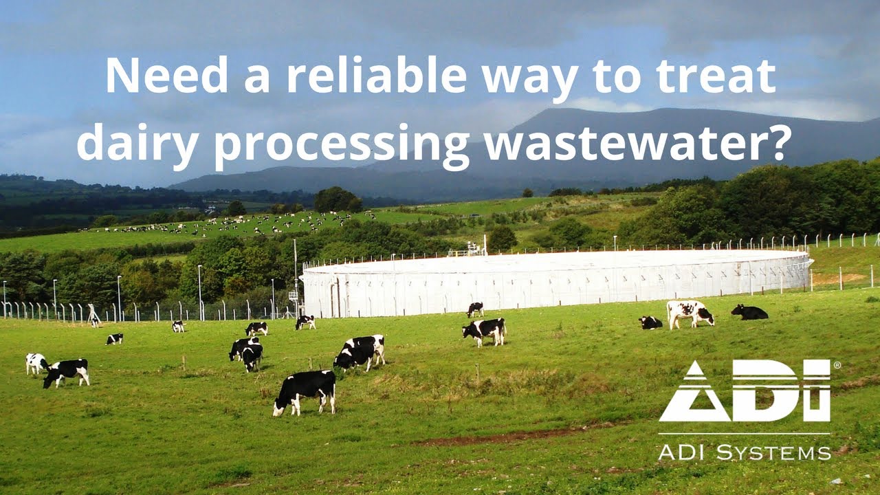 Treating Dairy Processing Wastewater
