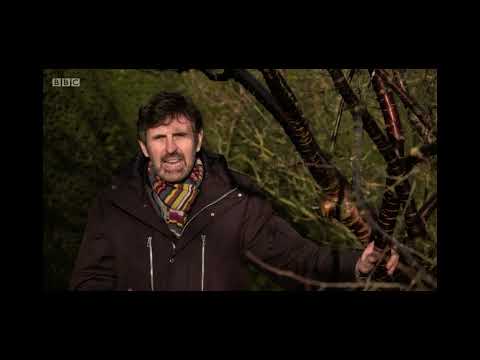 Gardeners World Winter Special 2021/22 Episode 1 #gardenersworld #originalgardening