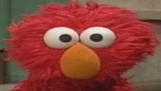 Rocco our favorite rock