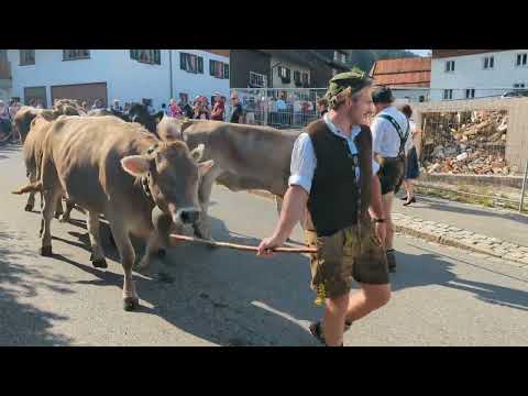 Viehscheid Kranzegg 08.09.2023