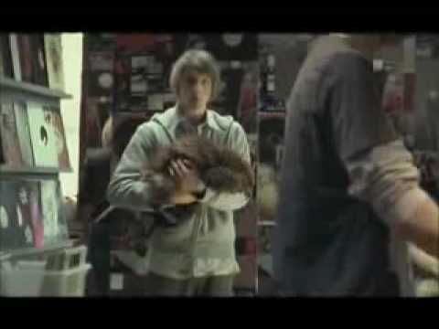 reklama z bobrem 36i6