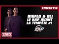 Bigflo et Oli "Le rap avant la tempête"