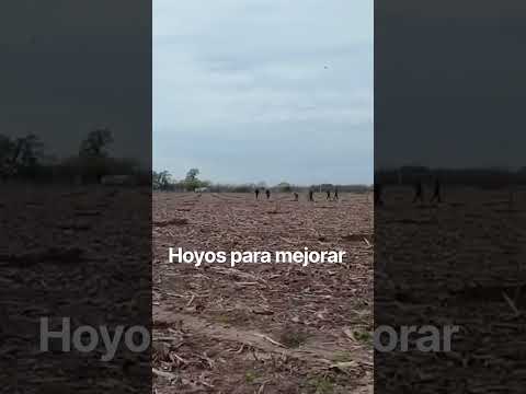 Proyecto ejecutado Chivilcoy Buenos Aires