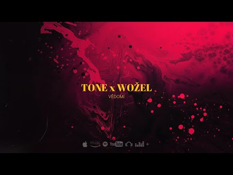 TONE x WOŽEL - VĚDOMÍ