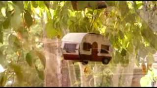 jill king acoustic (16 elephants)