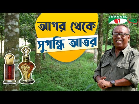 সুজানগরের আগর আতর প্রতিবেদন