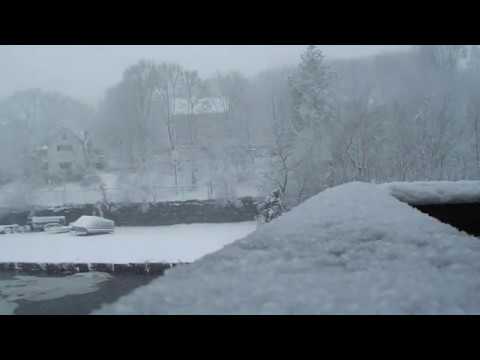 Tree falling during March 10, 2017 Blizzard in braintree Ma.