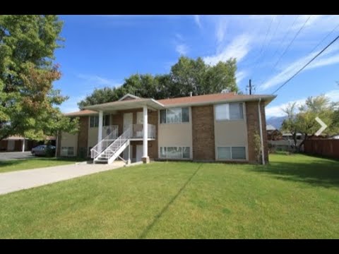 Summertree - Video 2 of 2