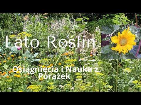 Lato Roślin: Osiągnięcia i Nauka z Porażek