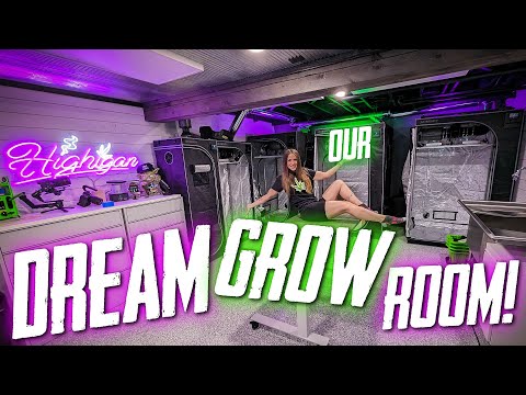 Our Dream Grow Room / Studio!