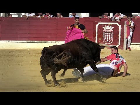 Medina del Campo 2022 Concurso con Toros Bravos