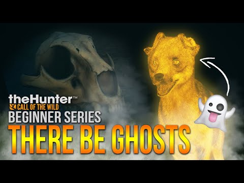 I see dead animals... + A few Shooting Tips! (pt. 6) | theHunter: Call of the Wild