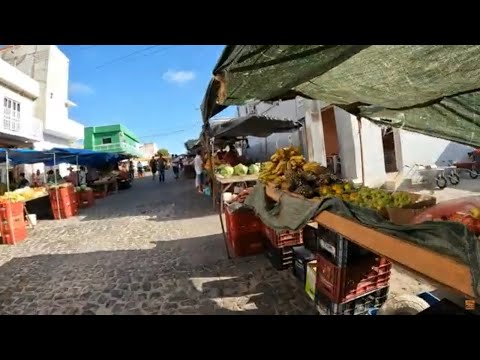 Feira Livre de Santa Terezinha Pernambuco - Alface e Coentro por 2 Reais o Pacote 17/11/25 #nordeste