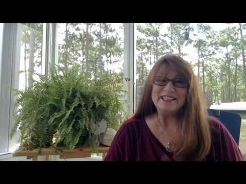 Tarot and Astrology Reading for the Week of September 19, 2015, With The Golden Universal Tarot