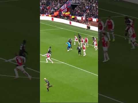 David Raya vs Crystal Palace | Compilation