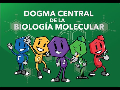 Dogma central de la biología molecular